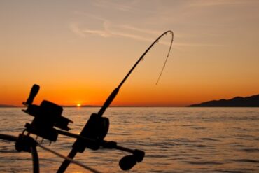 Sports Fishing